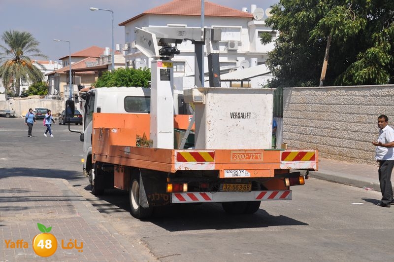 cat lud 910 (39).JPG